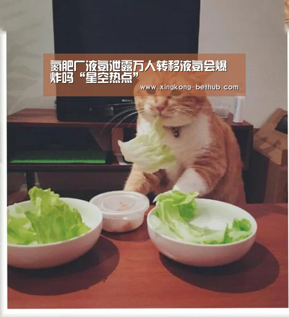 氮肥厂液氨泄露万人转移液氨会爆炸吗“星空热点”(图2) 星空赛事