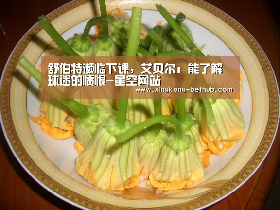 舒伯特濒临下课,艾贝尔:能了解球迷的愤恨-星空网站(图2) 星空网站
