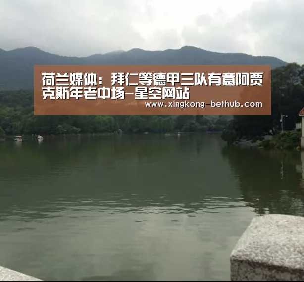 荷兰媒体:拜仁等德甲三队有意阿贾克斯年老中场-星空网站(图3) 星空推荐