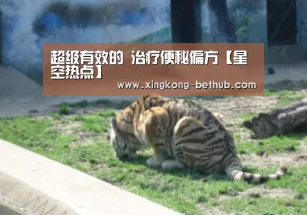 星空推荐