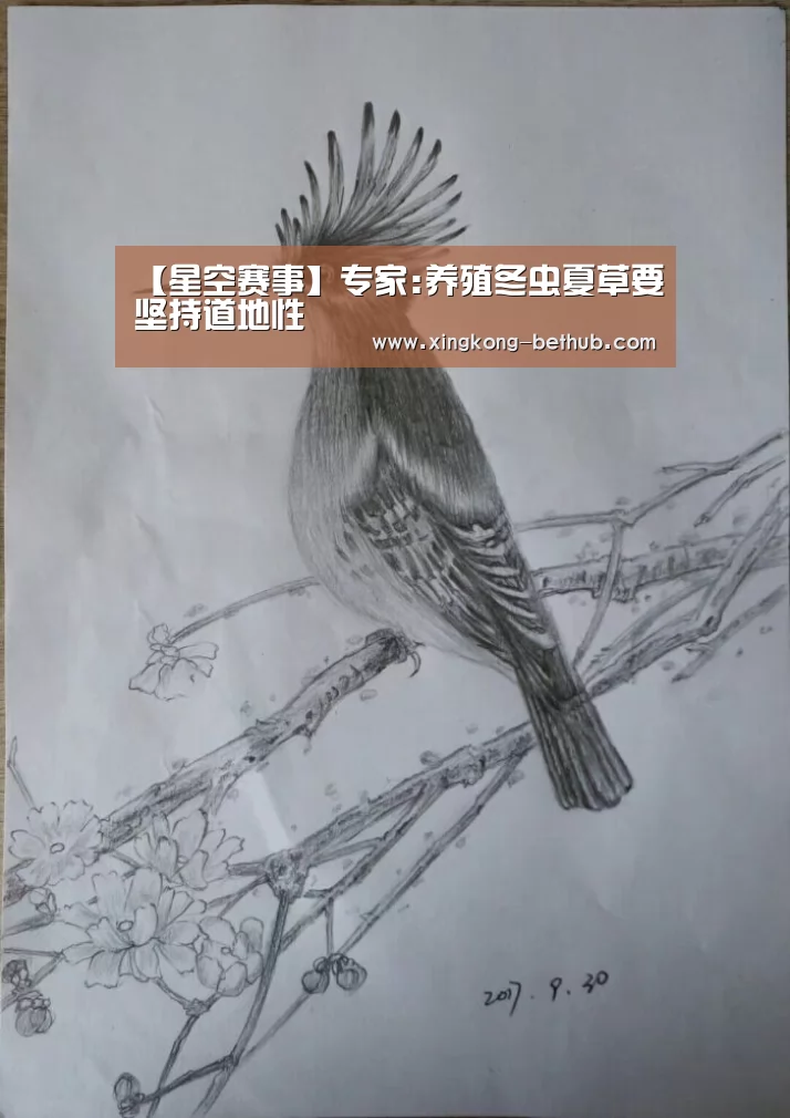 星空热点