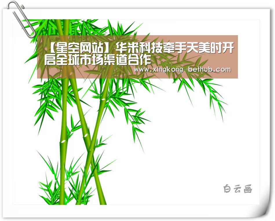 【星空网站】华米科技牵手天美时开启全球市场渠道合作(图3) 星空热点
