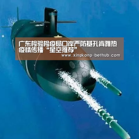广东检验检疫局口岸严防基孔肯雅热疫情传播“星空推荐”(图3) 星空推荐