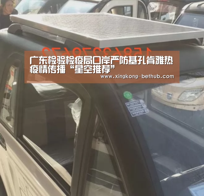广东检验检疫局口岸严防基孔肯雅热疫情传播“星空推荐”(图1) 星空网站