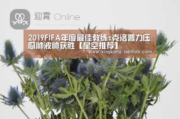 2019FIFA年度最佳教练:克洛普力压瓜帅波帅获胜【星空推荐】(图1) 星空网站
