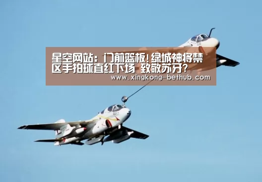 星空网站:门前篮板!绿城神将禁区手拍球直红下场 致敬苏牙?(图1) 星空推荐